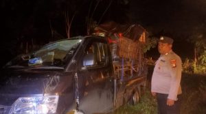 WhatsApp-Image-2025-07-12-at-13.06.32-800x445