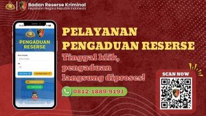 ebc99a75-fe43-48d2-973b-566839cc23b1_13094