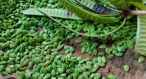 Screenshot_2024-06-25-21-04-58-54_680d03679600f7af0b4c700c6b270fe7