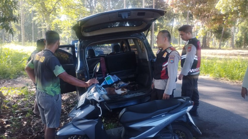 1000514303_998388