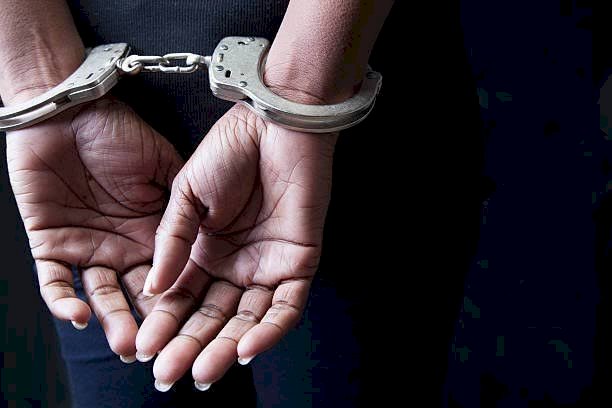 image_750x_699c5e9dcb9ca