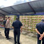 Polda NTT Bersama Instansi Terkait Bongkar Jaringan Rokok Ilegal, Kerugian Negara Capai Rp.12 Miliar