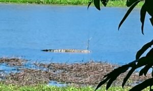 img_20260529_141626-768x459_899190