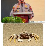 Kapolresta Banggai Imbau Masyarakat Waspada Bahaya Kepiting Setan yang Mengandung Racun Mematikan