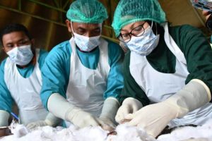 fakta_baru_ekshumasi__polres_aceh_timur_telusuri_misteri_kematian_bayi_di_sungai_arakundo_3_975233