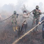 Dua Hotspot Terpantau di Riau, 283 Personel Gabungan Padamkan Karhutla di Rimbo Panjang