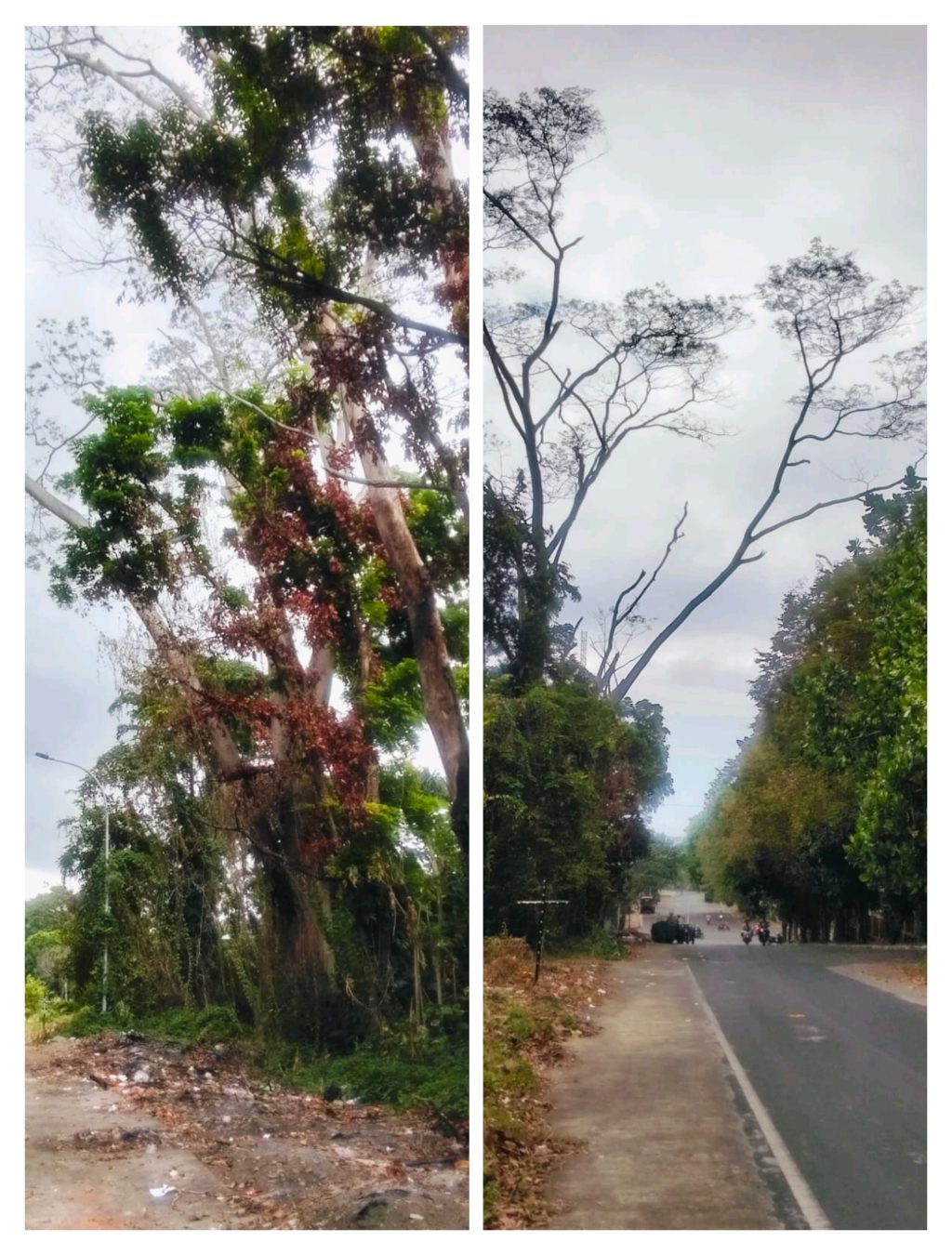 IMG_20260813_170613