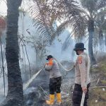 Personel Brimob Polda Kalteng Bersama BPBD Padami Kebakaran Hutan dan Lahan di Sampit