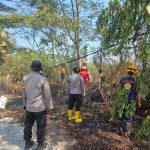 Respons Cepat Satgas Gabungan, Kebakaran Lahan di Jalan Penatapan Manggar Balikpapan Berhasil Dipadamkan