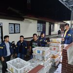 Di Balik Muatan Sapi, Truk Sembunyikan 1.106 Ekor Burung di Pelabuhan Bakauheni