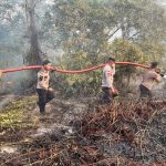 Kebakaran Lahan di Desa Sungai Besar Kabupaten Lingga, 8 Hektare Berhasil Dipadamkan