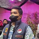 Oknum PPPK Kementerian PU Diamankan, Budidaya Ganja di Halaman Belakang Rumah Terbongkar