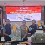 Satresnarkoba Polres Muaro Jambi Gagalkan Peredaran 30,8 Kg Ganja Asal Sumut, Satu Tersangka Diamankan