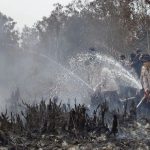 Sekat Bakar Dibangun di Palangka Raya, Cegah Kebakaran Hutan dan Lahan Meluas